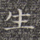生