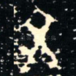 文