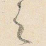 之