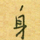 身
