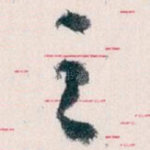 之