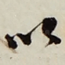 以
