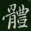 体