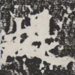 堤