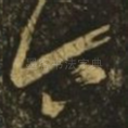 令