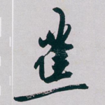 蕉