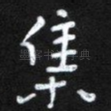 集
