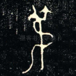 尗