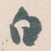 白