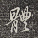 体