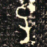 子