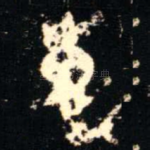 東