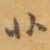 非