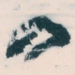 四