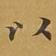 以