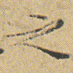 之