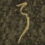 耳