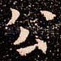 公