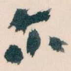 尔