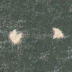 八