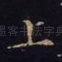 上
