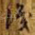 识