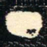 丁