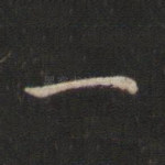 一