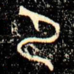 尸