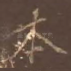本