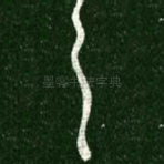 之
