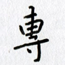 专