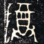 尊
