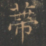 蒂