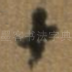 十