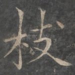 枝