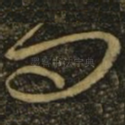 问