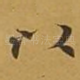 以