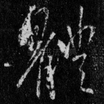 体