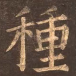 种