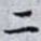 二