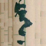 意