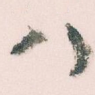 八