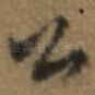 公