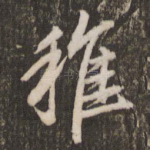 稚