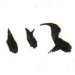 以