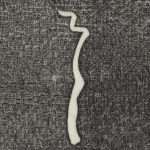 具