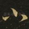 小