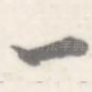 一