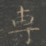 专